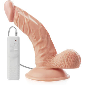 REALISTICKÝ VIBRÁTOR ZAKŘIVENÝ PENIS DILDO NA PŘÍSAVCE - 70410366